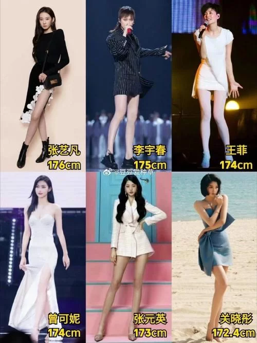 身高比较：170cm与208cm的差距有多大？网坛巨星身高对比