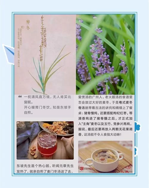 轩辕剑五游戏秘籍及隐藏彩蛋：探索山海经的神秘世界