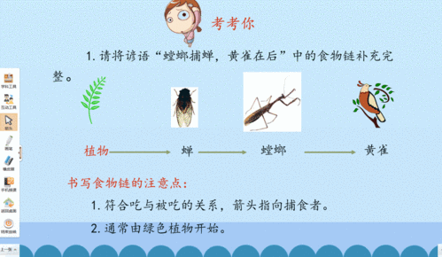 轻松下载101教育PPT课件到电脑：图文详解