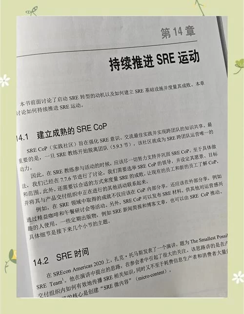 轻松学习塞恩所有技能：从入门到精通的详细指南