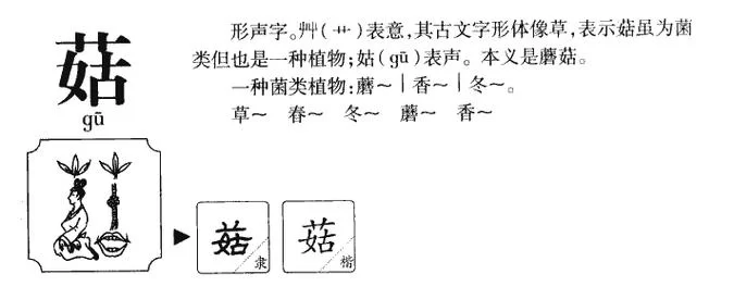轻松学会“蘑”字组词：100字搞定蘑菇、口蘑等词语