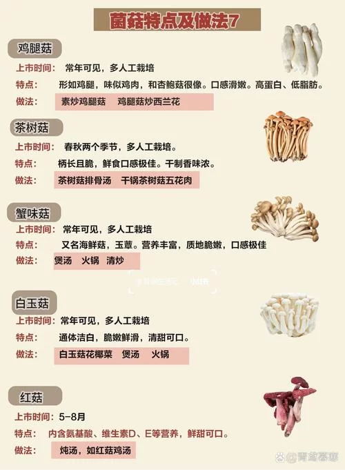 轻松学会“蘑”字组词：100字搞定蘑菇、口蘑等词语