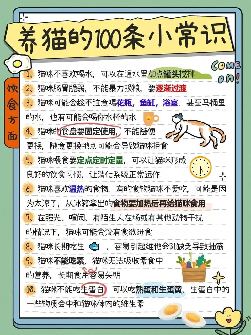 轻松应对宠物的小问题：实用养宠技巧分享