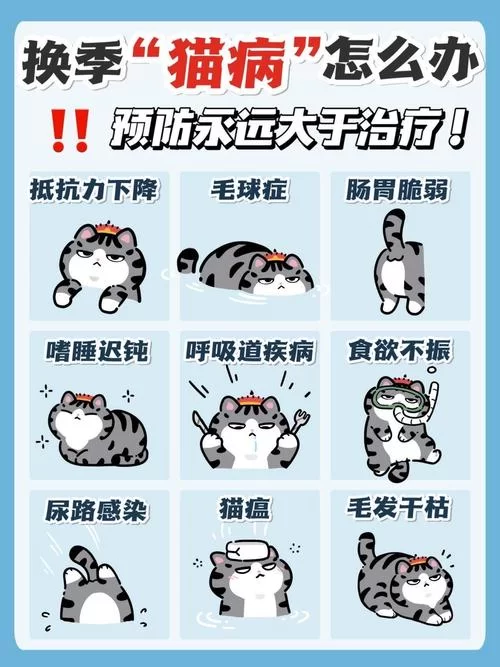 轻松应对宠物的小问题：实用养宠技巧分享