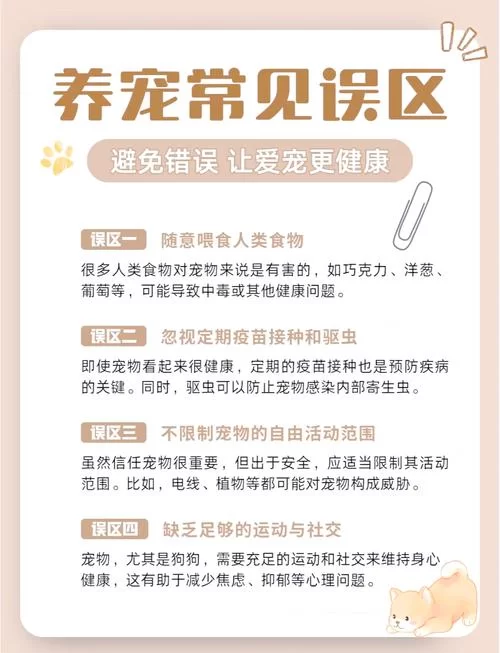 轻松应对宠物的小问题：实用养宠技巧分享