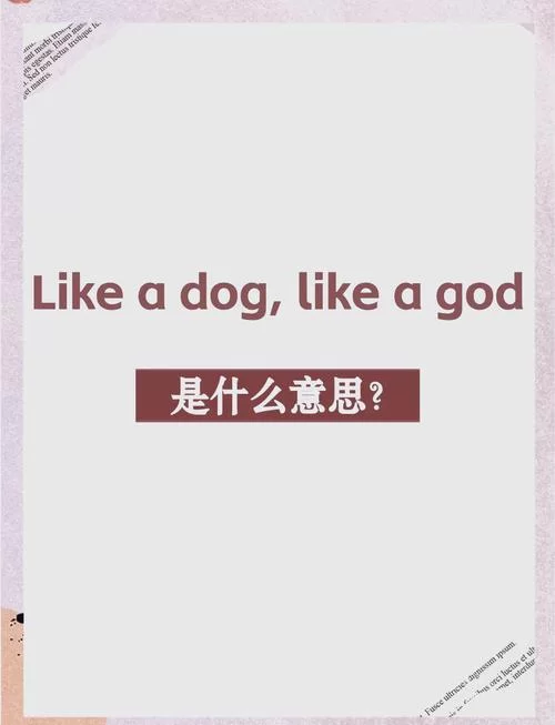 轻松搞定“狗熊”的英语表达，附例句讲解