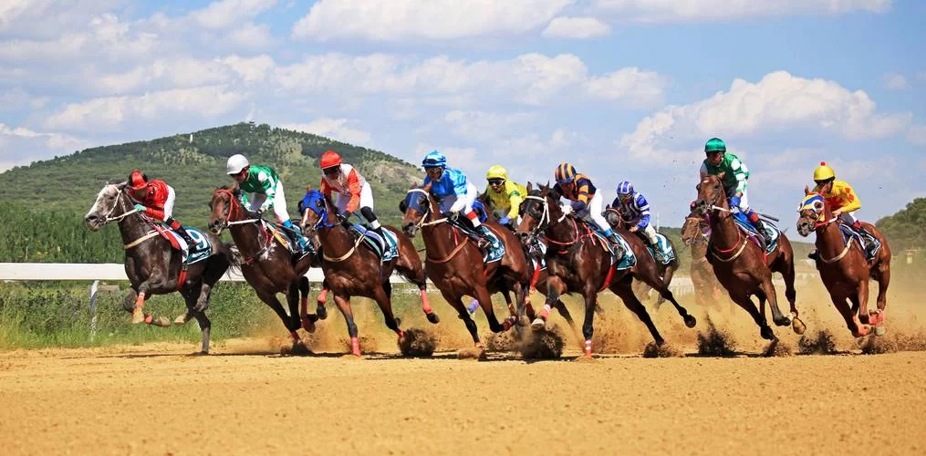 轻松查看赛马赛事派彩结果：便捷的查询方式