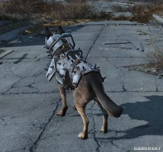 辐射4忠犬狗肉离家出走？教你轻松找回它！