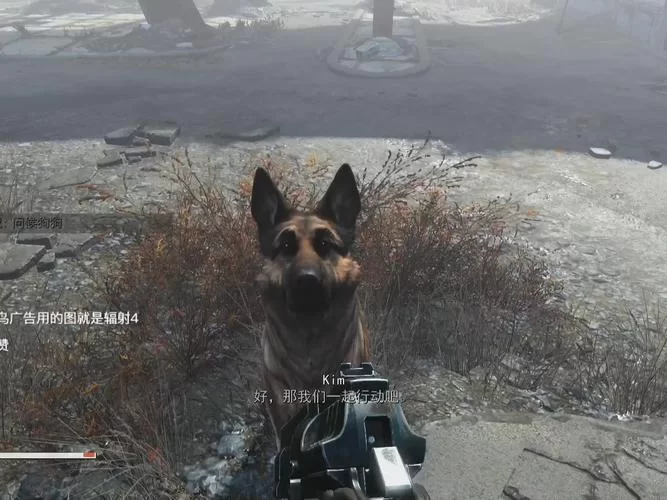 辐射4忠犬狗肉离家出走？教你轻松找回它！