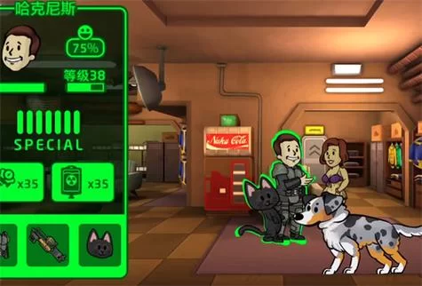 辐射避难所生孩子方法：住房条件、角色属性及怀孕时间