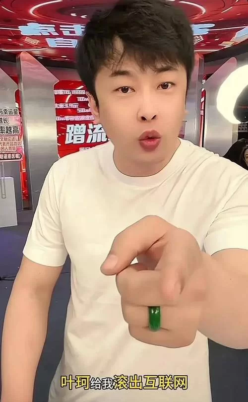 辛巴个人简历资料全览：揭秘电商大佬的传奇人生
