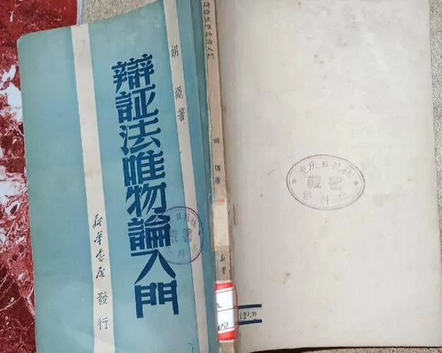 辩证唯物论在美学中的应用：谁是坚持者？