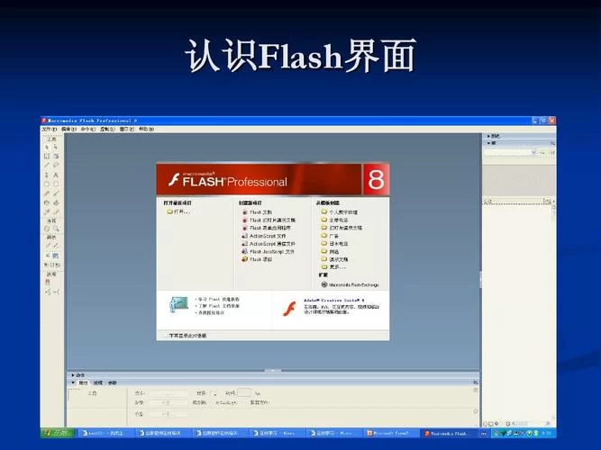 还在为Flash8序列号烦恼？试试这些有效序列号！
