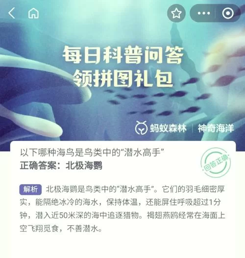 还在为蚂蚁庄园题目烦恼吗？今日答案已为你准备好！