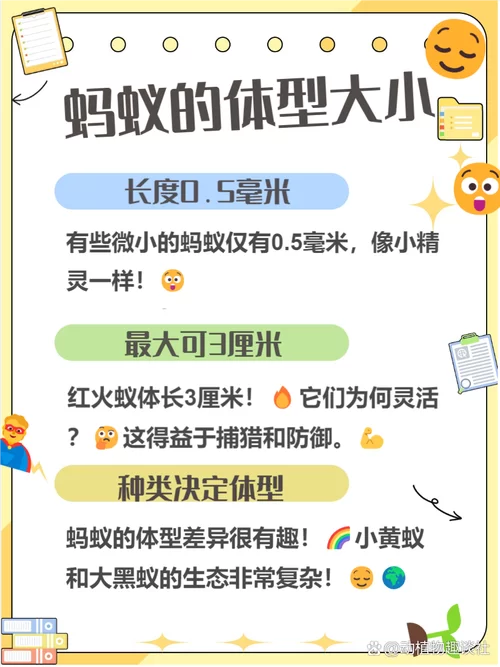 还在读错蚂蚁的拼音？标准读音及例句详解！