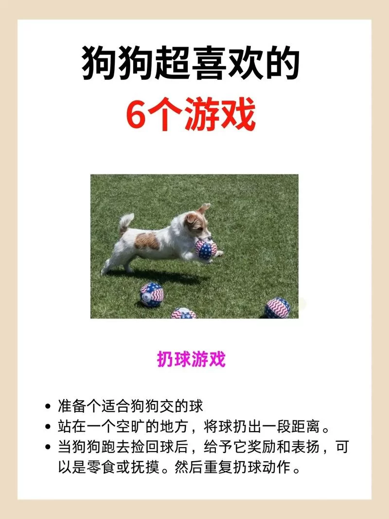 这些养宠物的游戏,让你随时随地拥有可爱宠物 这些养宠物的游戏,让你随时随地拥有可爱宠物