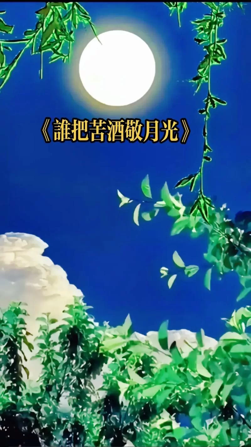 这句“一杯敬朝阳一杯敬月光”是什么歌里的？歌曲表达了什么含义？