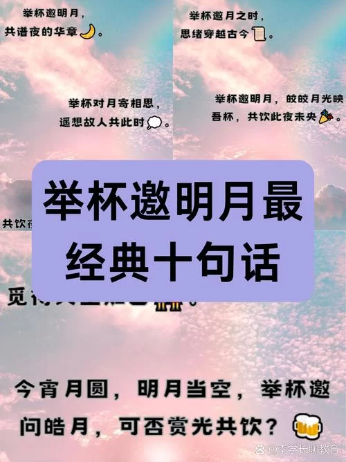 这句“一杯敬朝阳一杯敬月光”是什么歌里的？歌曲表达了什么含义？