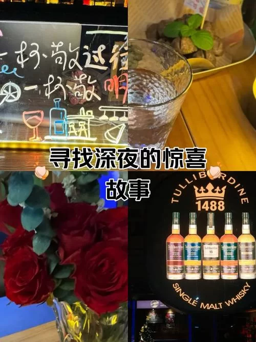这句“一杯敬朝阳一杯敬月光”是什么歌里的？歌曲表达了什么含义？