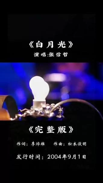 这句“一杯敬朝阳一杯敬月光”是什么歌里的？歌曲表达了什么含义？