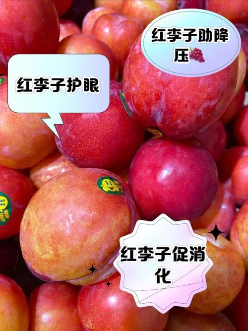 这是什么红色的李子？教你快速识别不同红色李子名称
