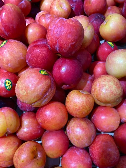 这是什么红色的李子？教你快速识别不同红色李子名称