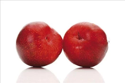 这是什么红色的李子?教你快速识别不同红色李子名称 这是什么红色的李子?教你快速识别不同红色李子名称