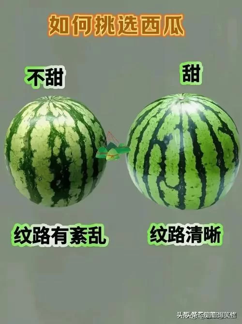 这瓜保熟吗？老司机教你挑选西瓜技巧