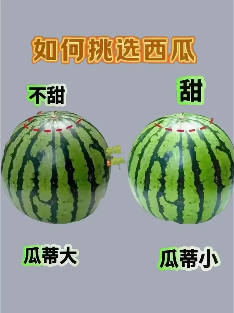 这瓜保熟吗？老司机教你挑选西瓜技巧