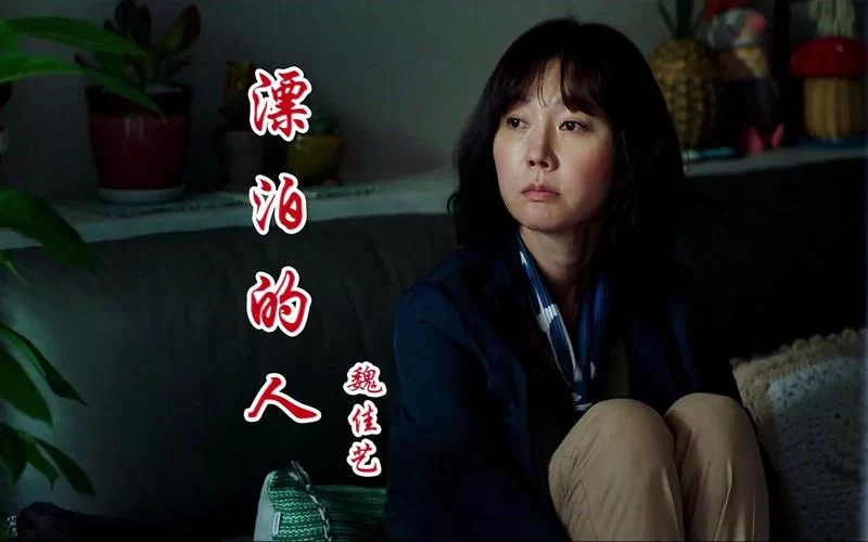 这首唱到“心不愿在漂泊”的歌，你听过吗？歌曲推荐