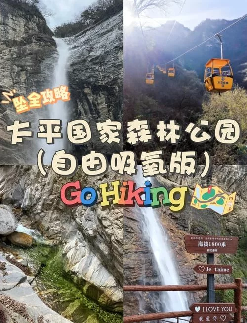 远离城市，一起去爬山，亲近自然，呼吸新鲜空气