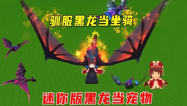迷你世界怎么驯服黑龙？超简单驯龙技巧大公开！