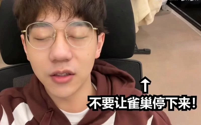 逗比的雀巢：搞笑视频背后的辛酸与快乐