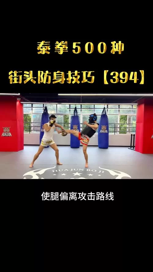 遇到格斗系怎么办？这些属性能有效克制它！