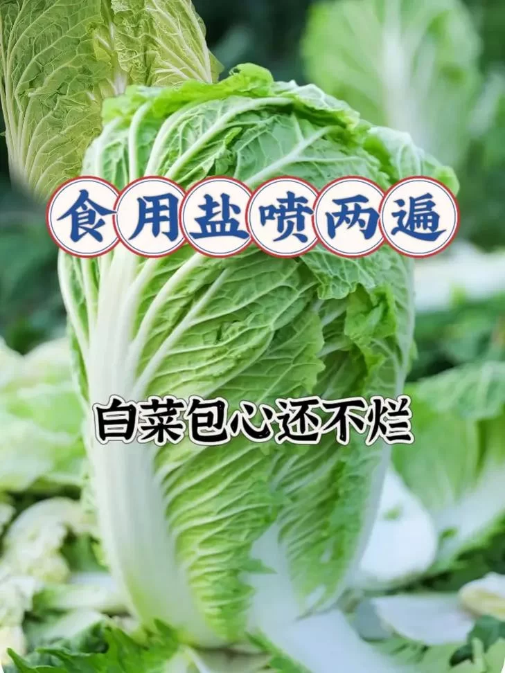 那个蔬菜含盐高？日常生活中你可能忽略了这些细节。
