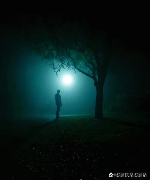 那些孤独的人啊，夜晚是否会回家？深夜里的迷茫与孤独