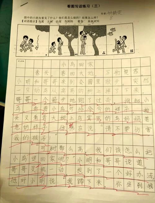 邪送小鸟回家：迷信说法与科学处理方法