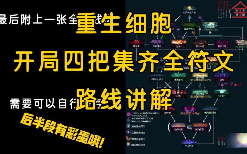 重生细胞各路线优缺点分析：选择适合你的路线