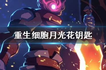 重生细胞：月光花钥匙获取方法及最佳路线推荐