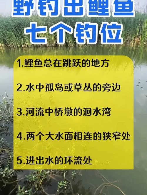 野河钓甲鱼最佳位置示意图：附详细钓点选择技巧