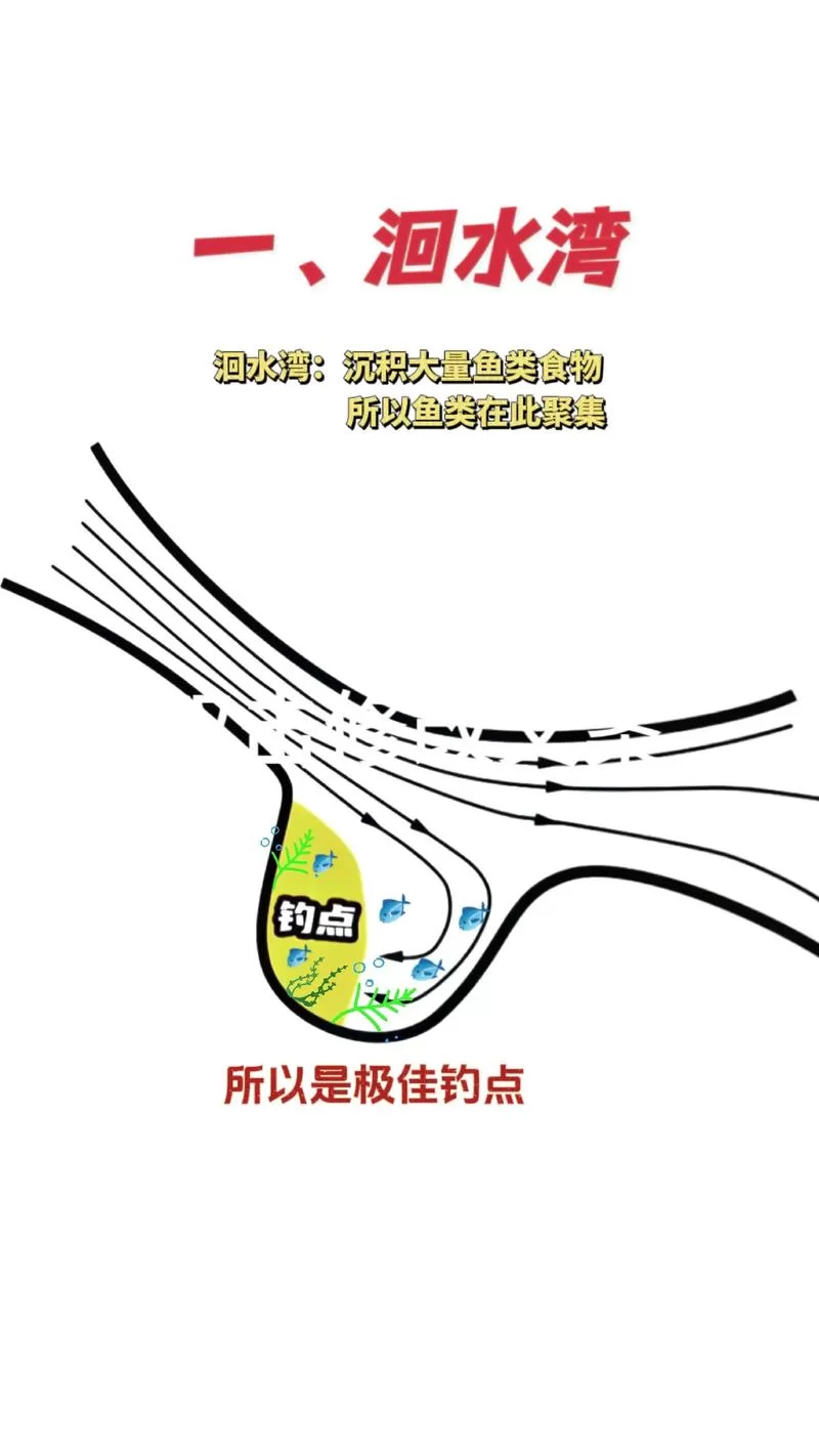 野河钓甲鱼最佳位置示意图：附详细钓点选择技巧