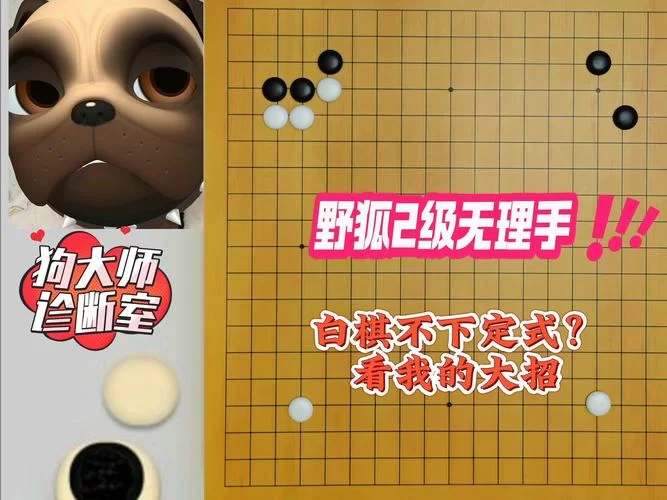 野狐围棋网：高手对决，棋友交流的最佳平台