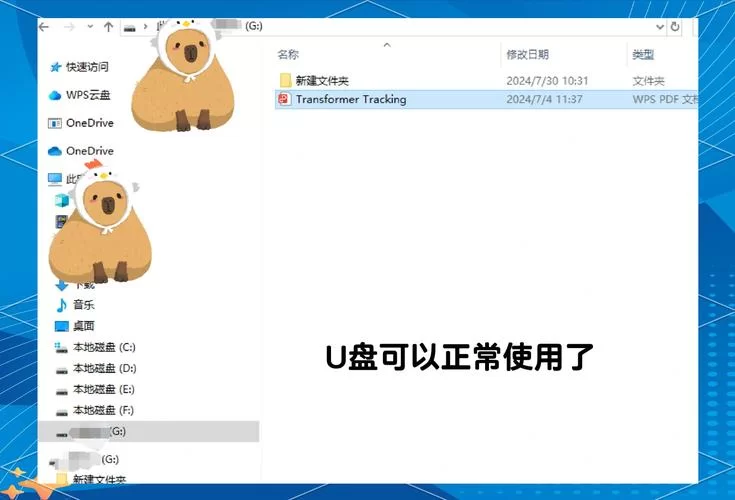 金山U盘专杀真的有效吗？快速解决U盘中毒问题