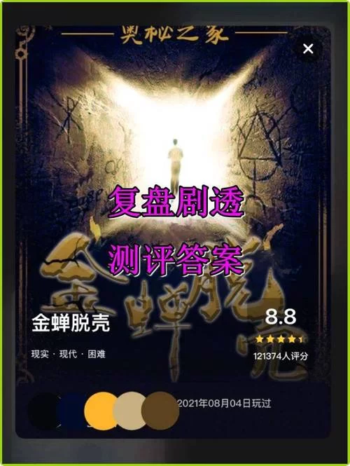 金蝉脱壳剧本杀复盘：体验分享与玩家评价总结