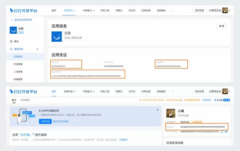 钉钉app下载安装：官方正版下载渠道推荐