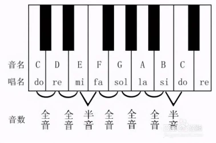 键盘弹钢琴：零基础也能轻松学会弹钢琴