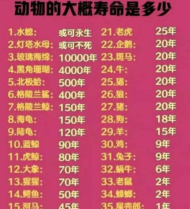 长生不老打一动物，你猜出来了吗？