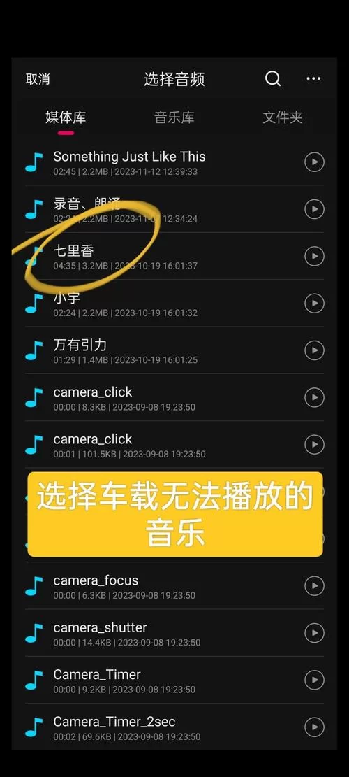 闪存式MP3伴侣软件下载：解决MP3播放顺序难题