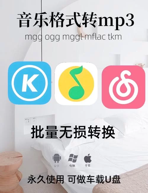 闪存式MP3伴侣软件下载：解决MP3播放顺序难题