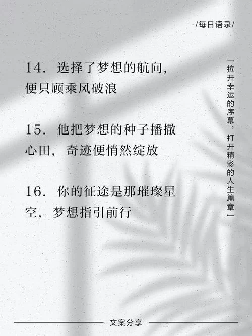 闪烁的梦想：心中最闪亮的梦想是什么？